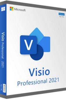 Microsoft Visio 2021 Professional