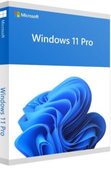 Windows 11 Professional Retail Lizenz alle Sprachen
